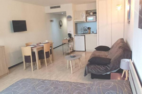 Lourdes grand studio classé 2 étoiles de 1 à 4 personnes